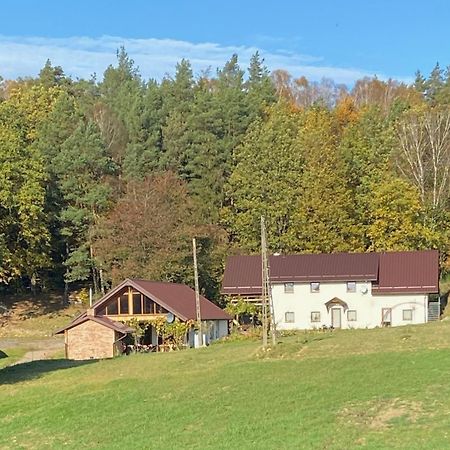 Agrowinnica Borzytuchom المظهر الخارجي الصورة