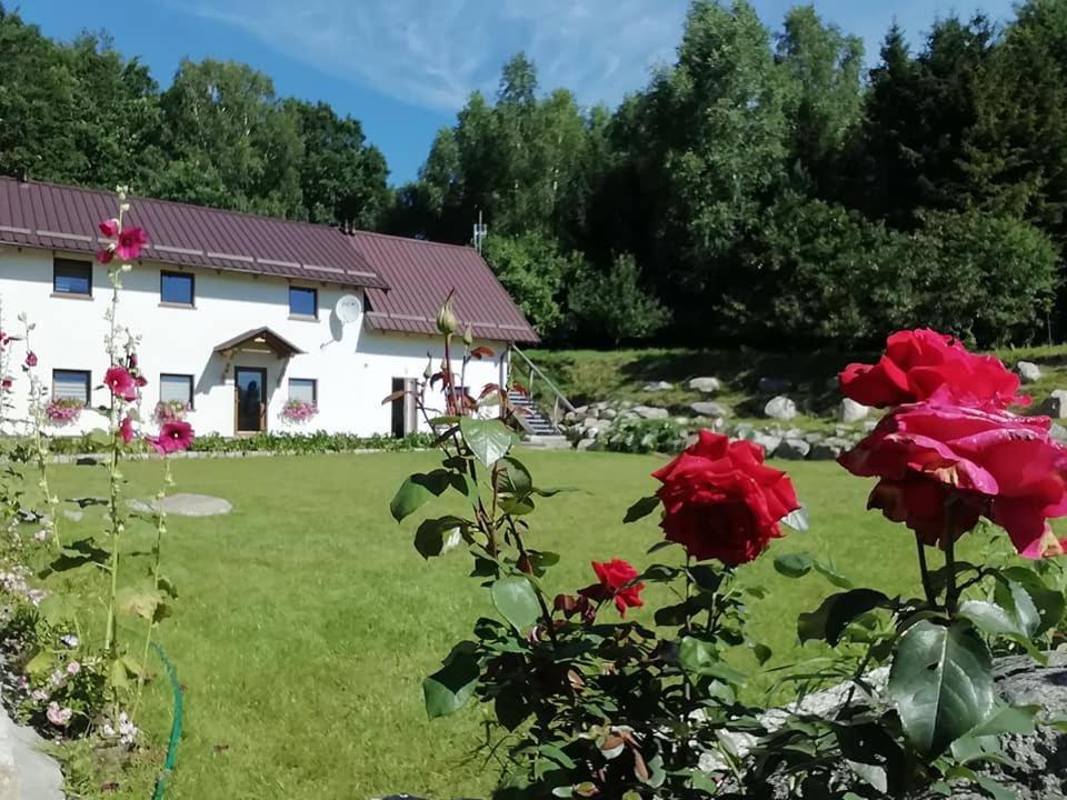 Agrowinnica Borzytuchom المظهر الخارجي الصورة